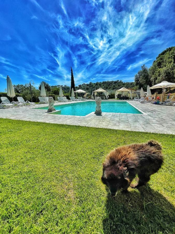 شقة Il Casolare Val Di Mare ريباربيلا المظهر الخارجي الصورة
