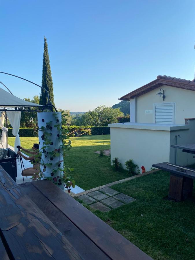 شقة Il Casolare Val Di Mare ريباربيلا المظهر الخارجي الصورة
