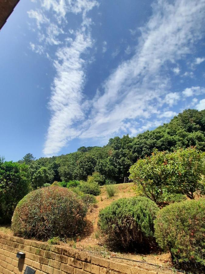 شقة Il Casolare Val Di Mare ريباربيلا المظهر الخارجي الصورة